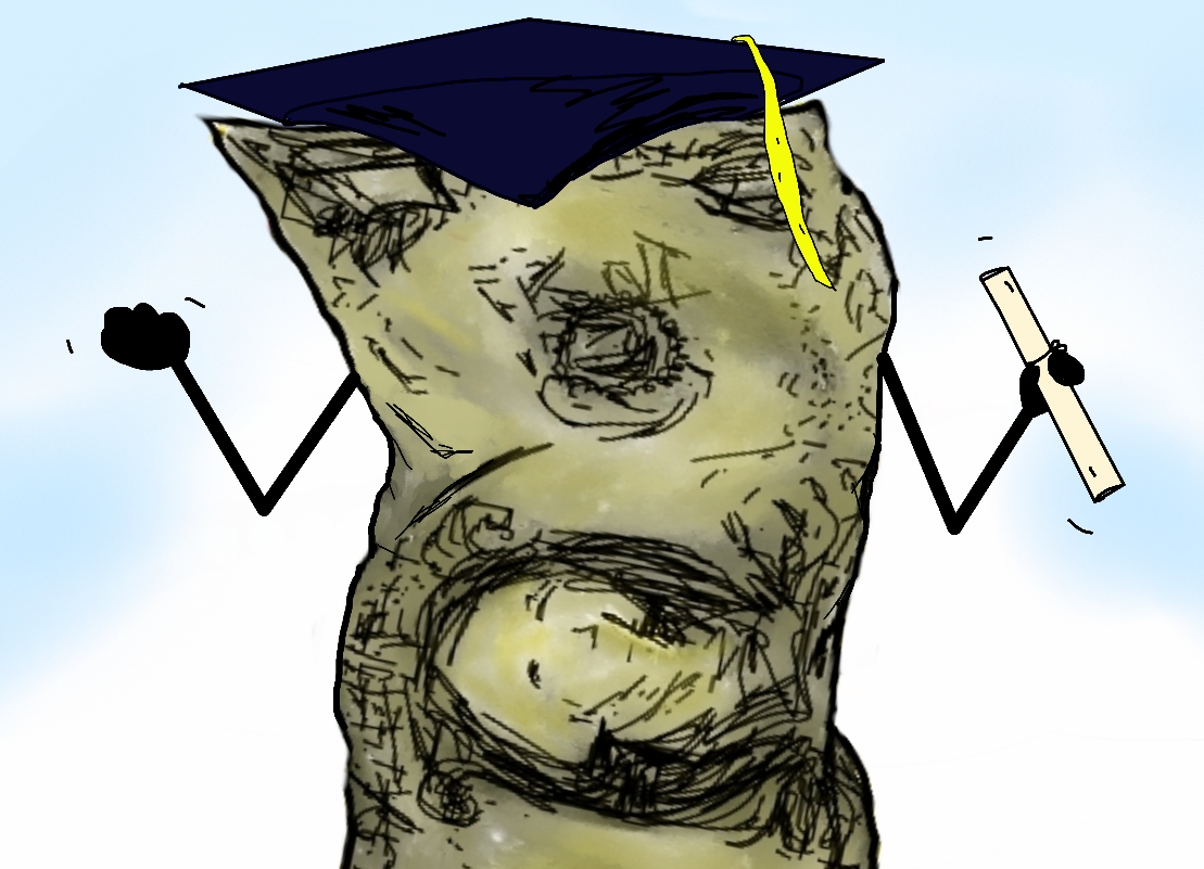 graduation