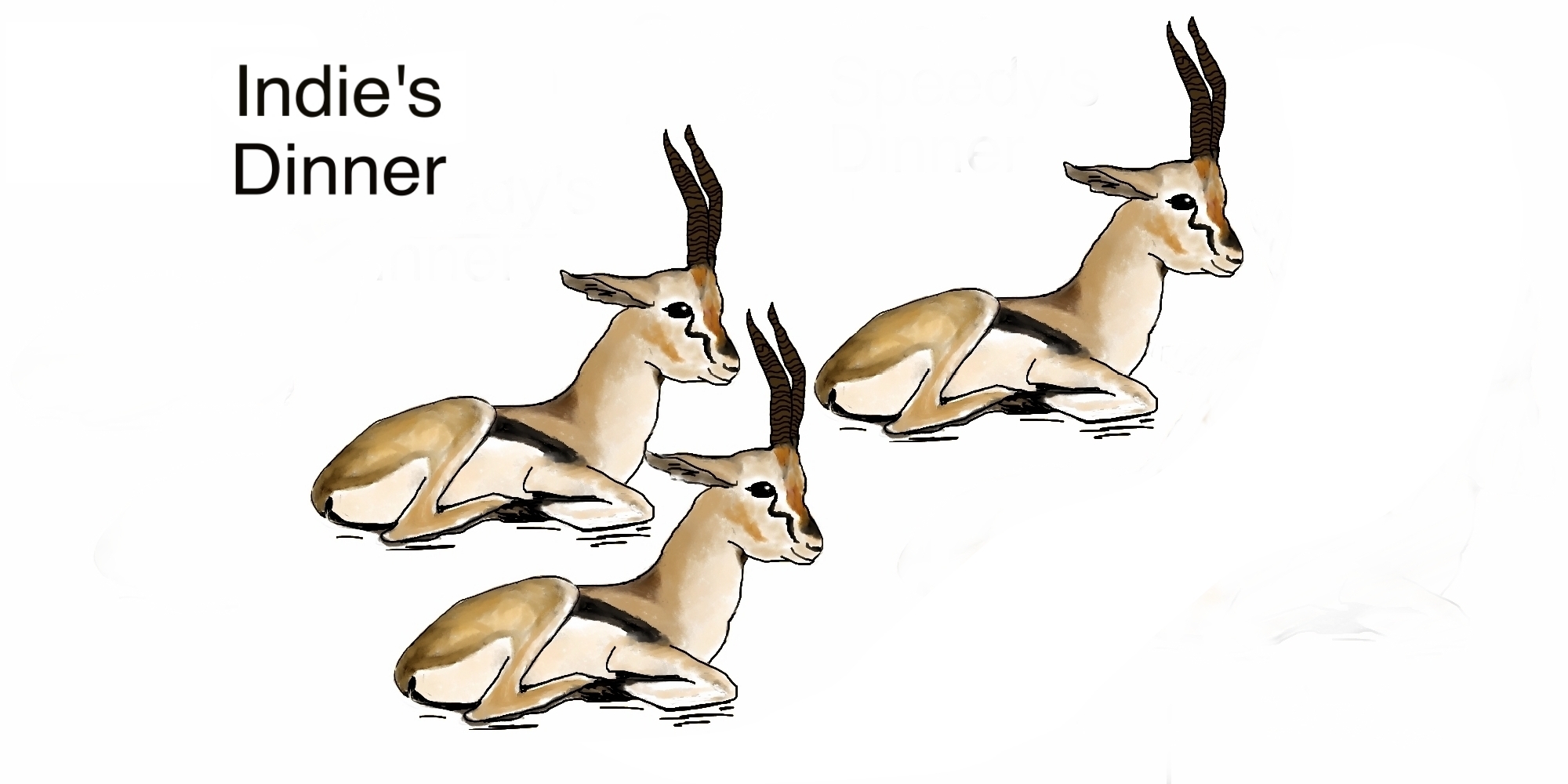 3gazelle