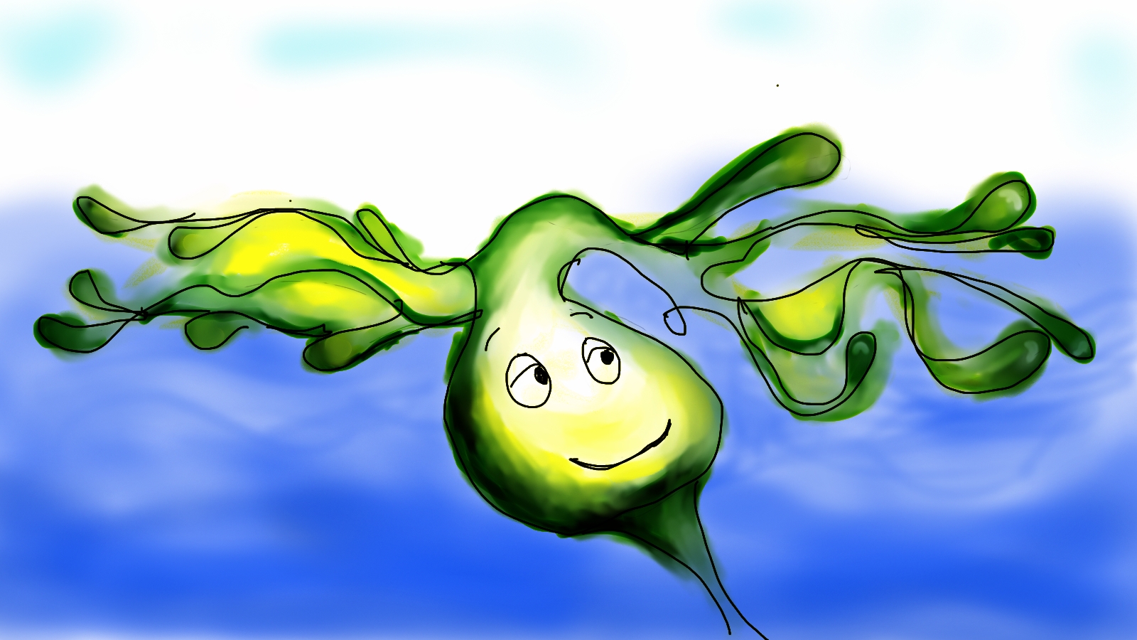 kelp