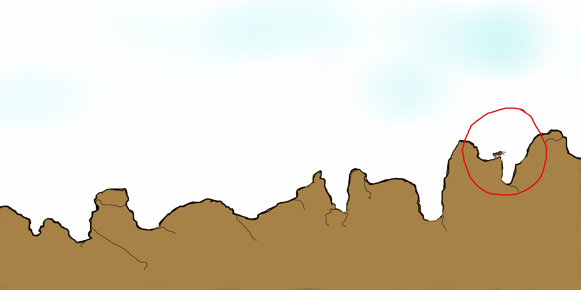 ant