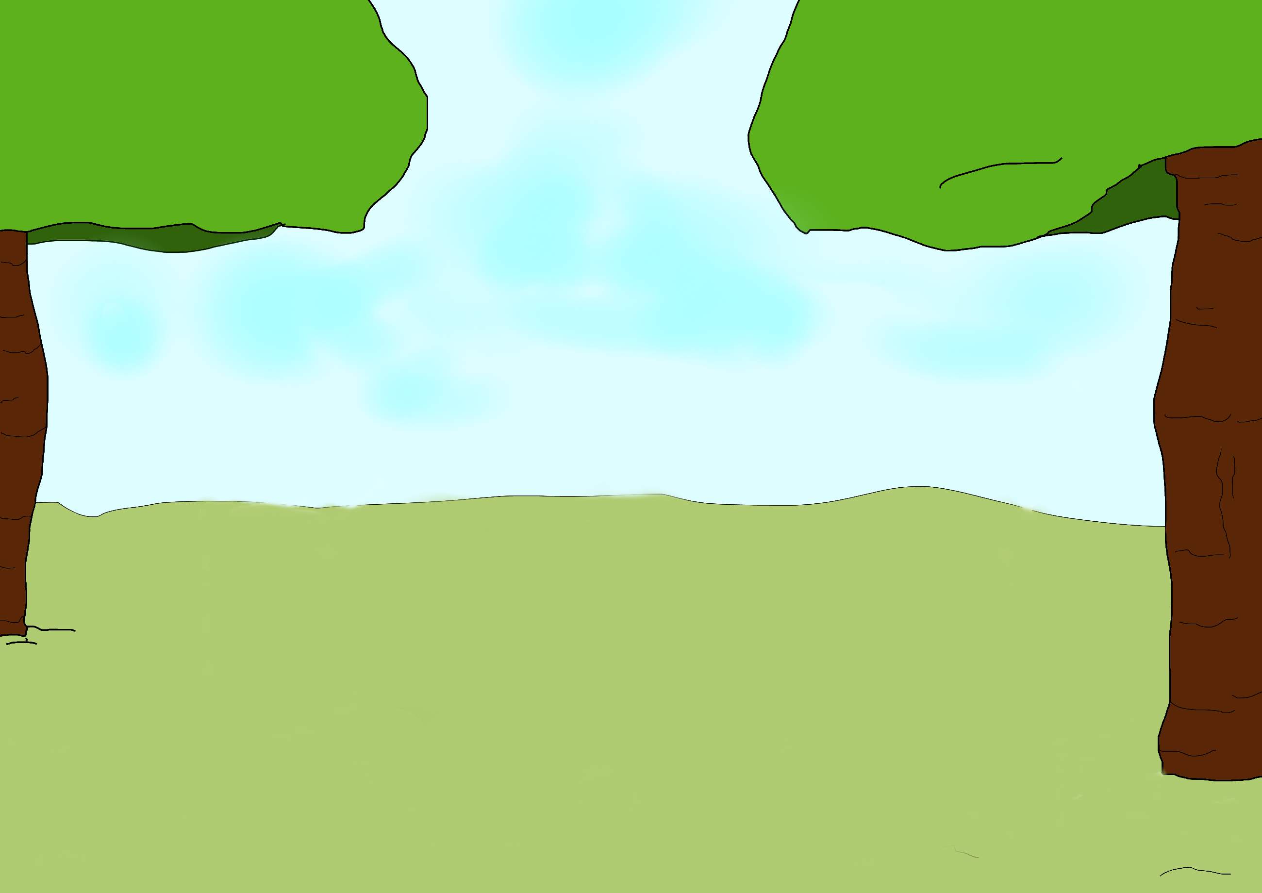 bushes and lawn