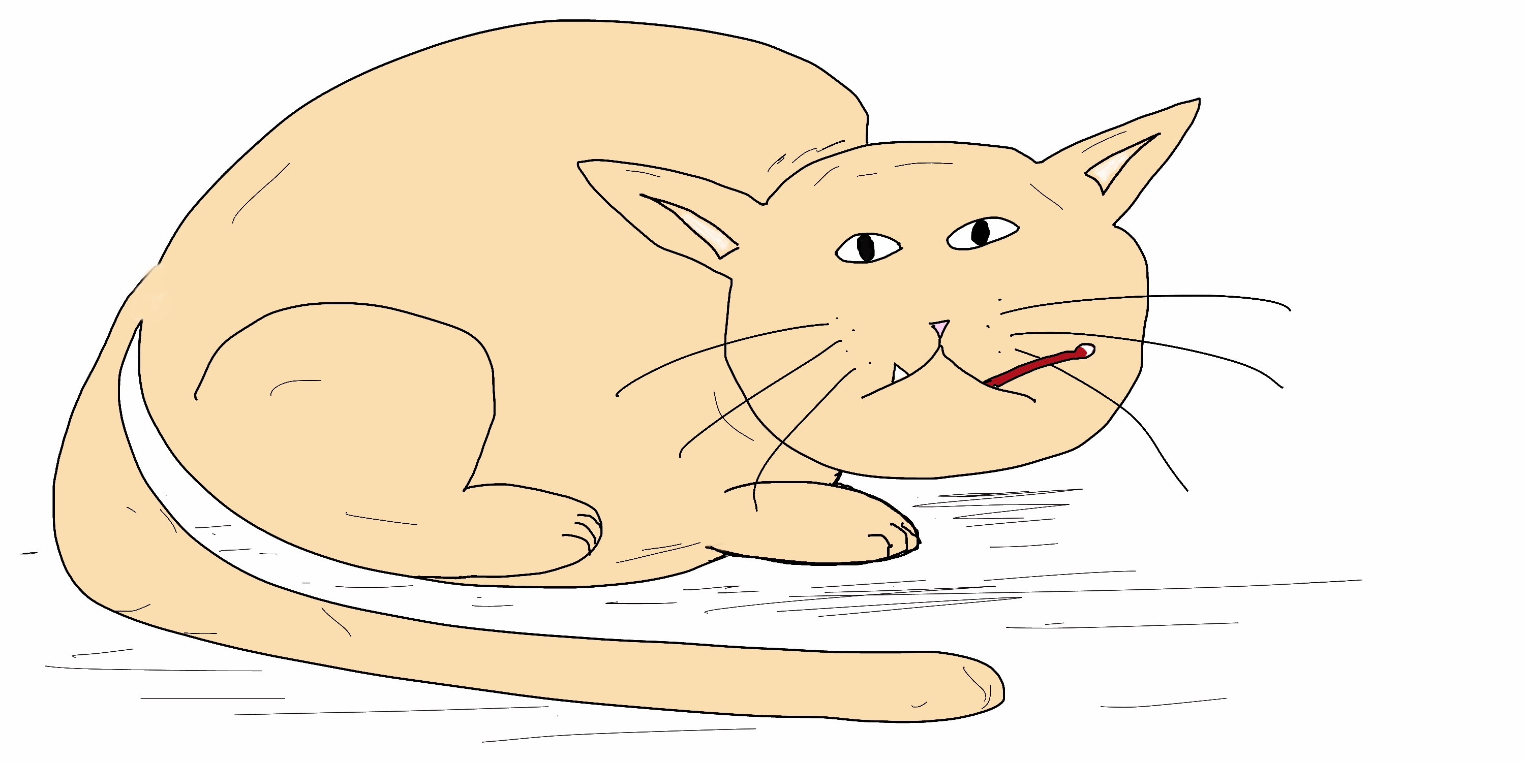 sick-cat